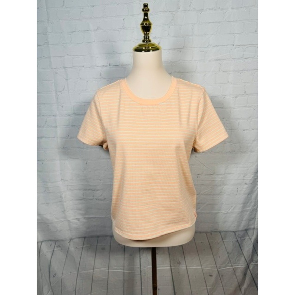 NWT Free People We The Free Striped Everyday Tee Tropical‎ Beach Combo XS